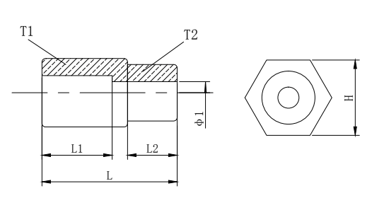 BSP to NPT Gauge Adaptor